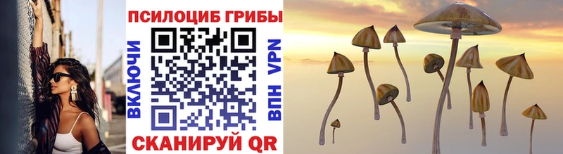 Галлюциногенные грибы Cubensis  Козловка 